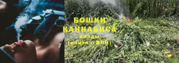 амф Белоозёрский