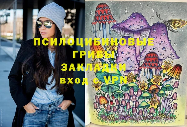 амф Белоозёрский