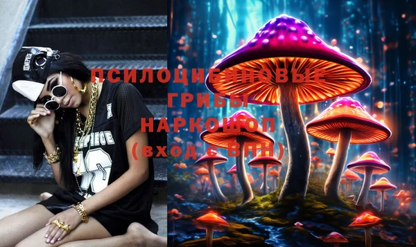 амф Белоозёрский