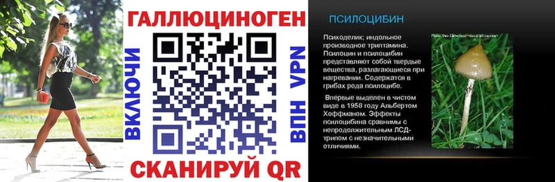 блэк спрут как зайти Минусинск Псилоцибиновые грибы прущие грибы